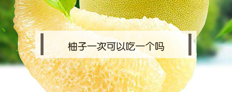 柚子一次可以吃一個嗎