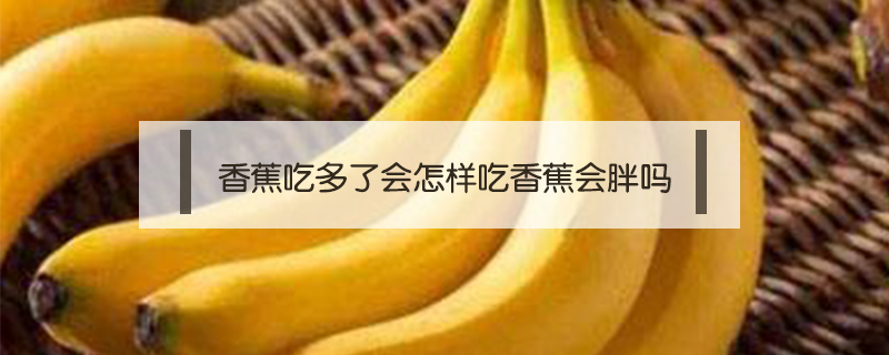 香蕉吃多了會(huì)怎樣吃香蕉會(huì)胖嗎