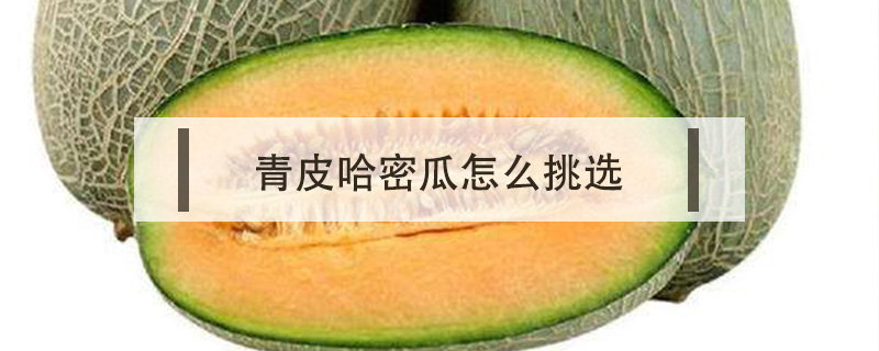 青皮哈密瓜怎么挑選