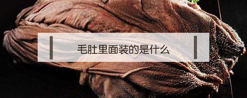 毛肚里面裝的是什么