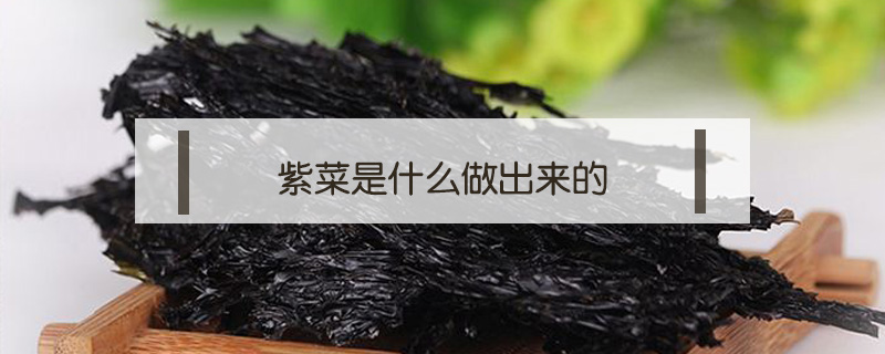 紫菜是什么做出來的
