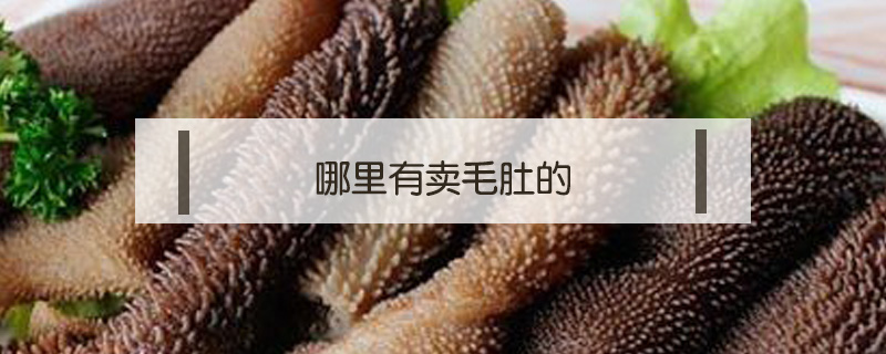 哪里有賣毛肚的