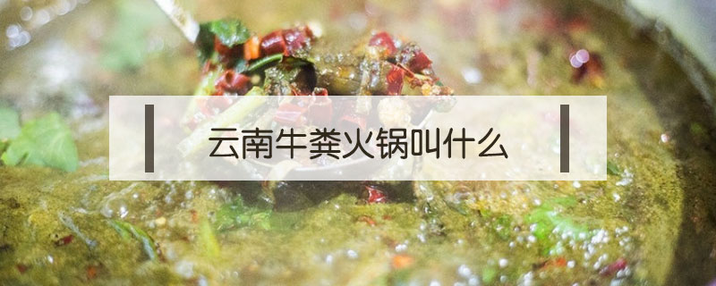 云南牛糞火鍋叫什么