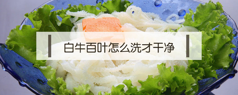 白牛百葉怎么洗才干凈