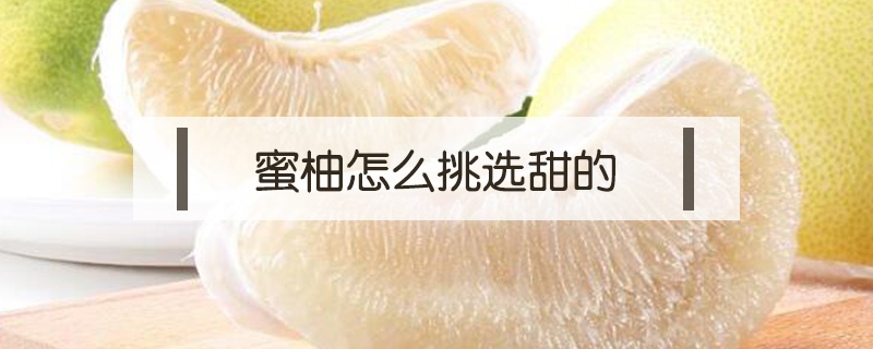 蜜柚怎么挑選甜的
