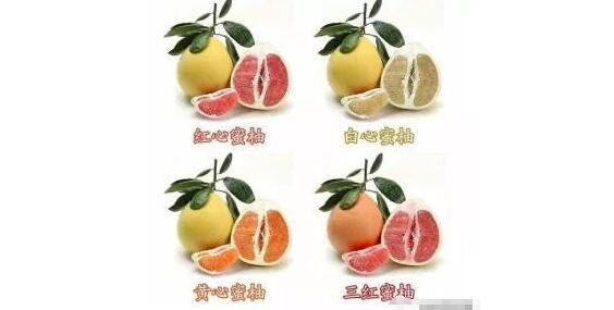 蜜柚怎么挑選甜的
