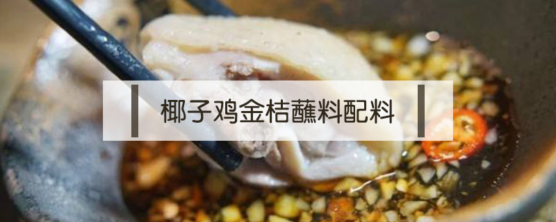 椰子雞金桔蘸料配料