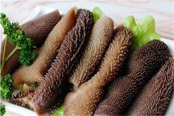 毛肚是什么動物身上的