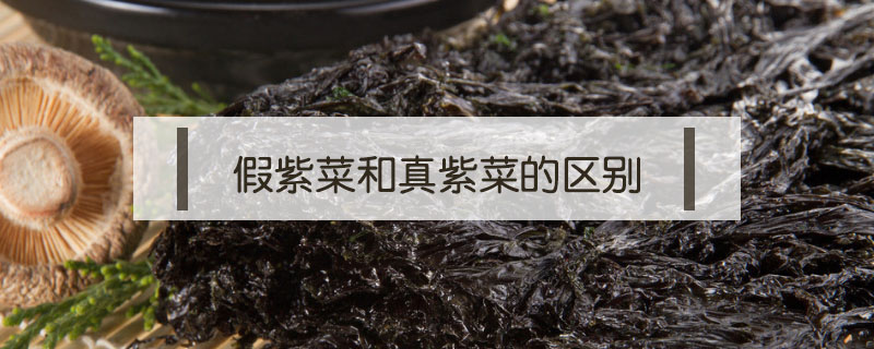 假紫菜和真紫菜的區別
