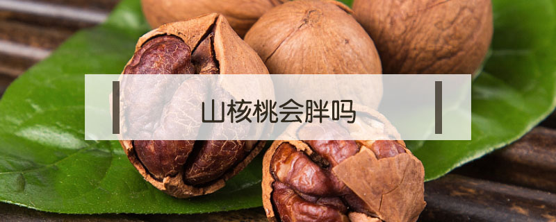 山核桃會胖嗎