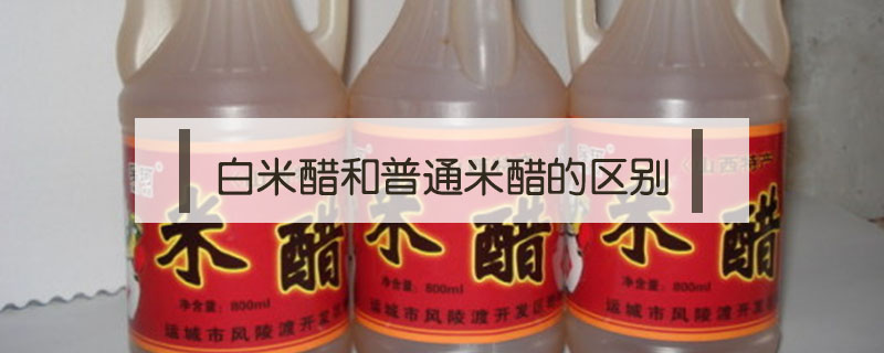 白米醋和普通米醋的區別