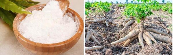 木薯淀粉和土豆淀粉的區(qū)別