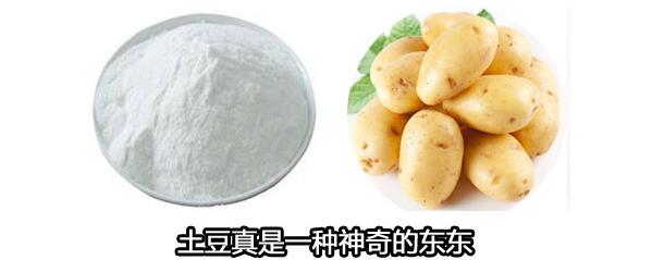 木薯淀粉和土豆淀粉的區(qū)別