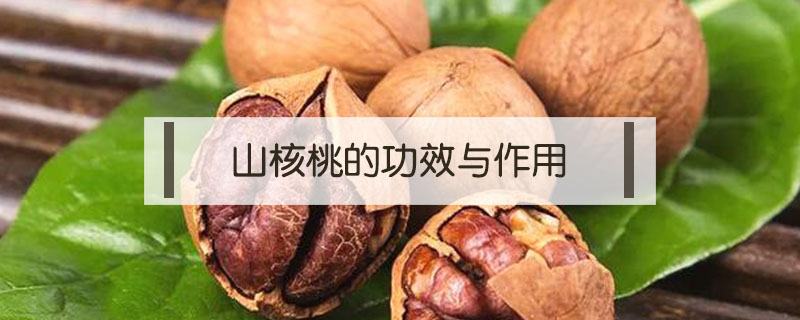 山核桃的功效與作用