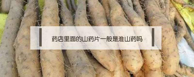藥店的淮山藥和普通山藥的區(qū)別