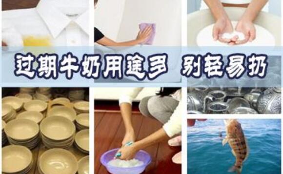 過期的牛奶有什么用