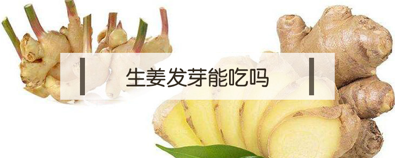 生姜發芽能吃嗎