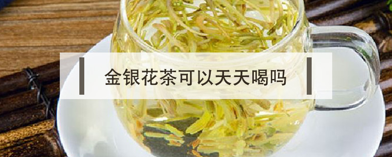 金銀花茶可以天天喝嗎