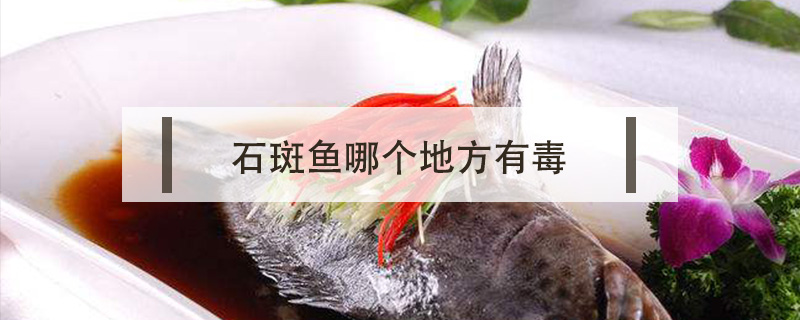 石斑魚哪個地方有毒