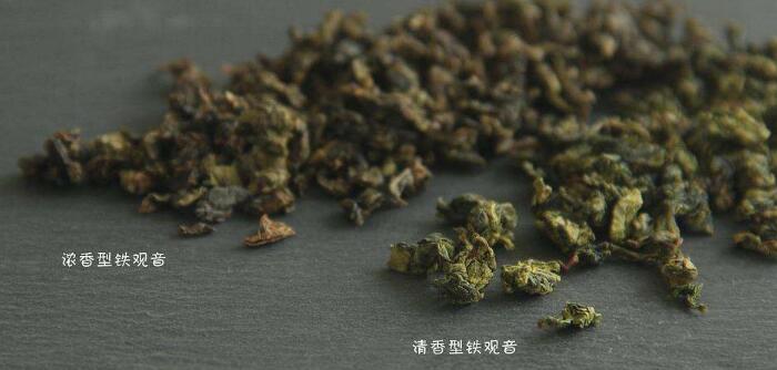 鐵觀音是紅茶還是綠茶
