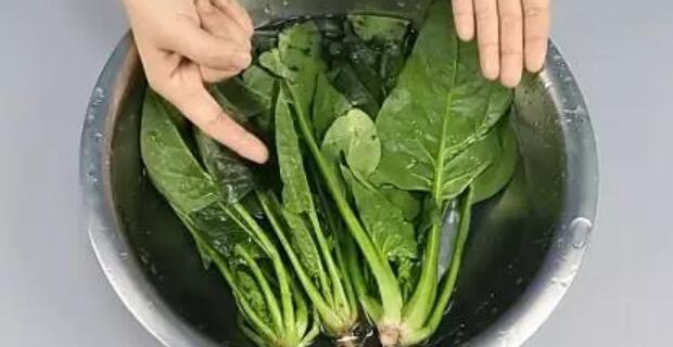 菠菜和豆腐能一起吃嗎
