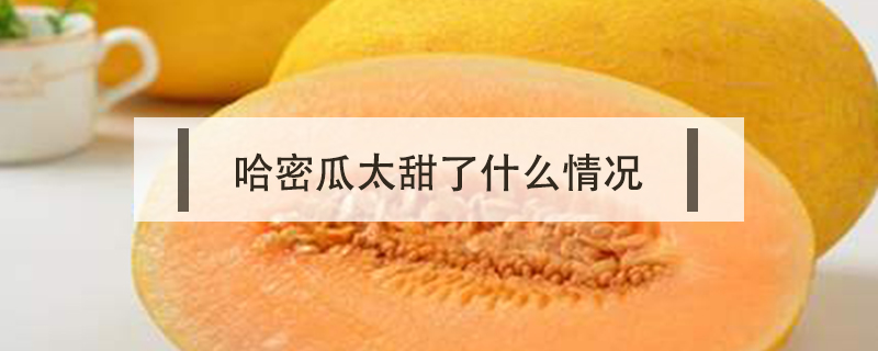哈密瓜太甜了什么情況