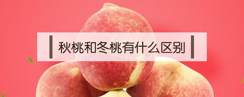 秋桃和冬桃有什么區別