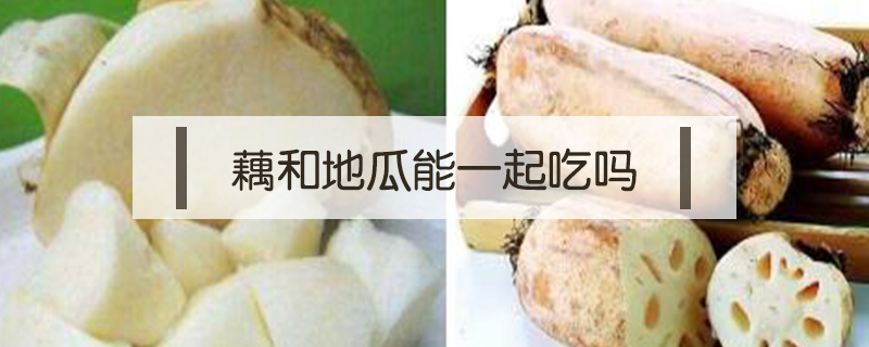 藕和地瓜能一起吃嗎