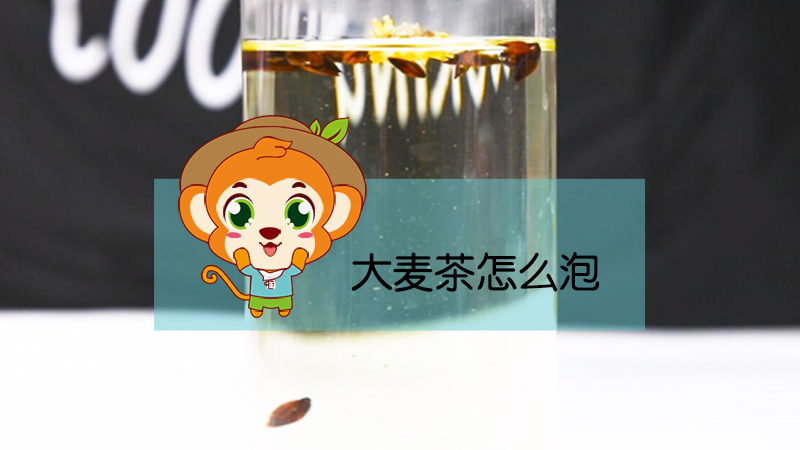 大麥茶怎么泡
