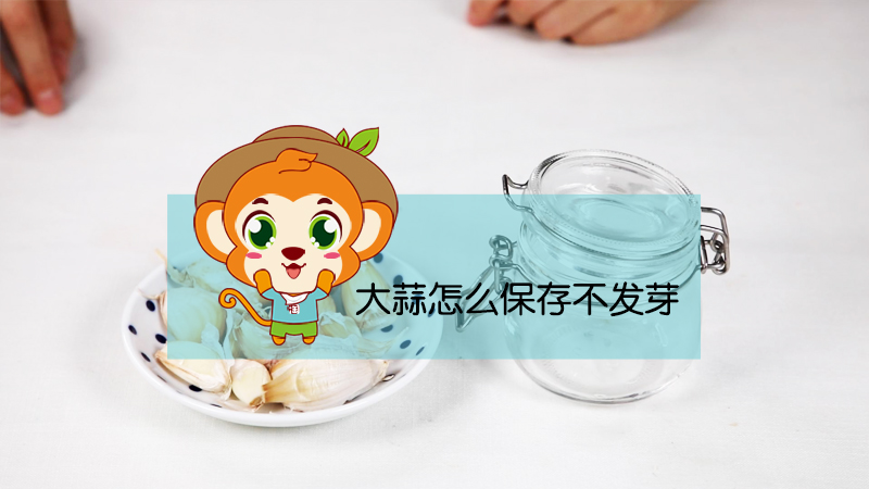大蒜怎么保存不發芽