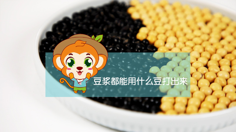 豆?jié){都能用什么豆打出來