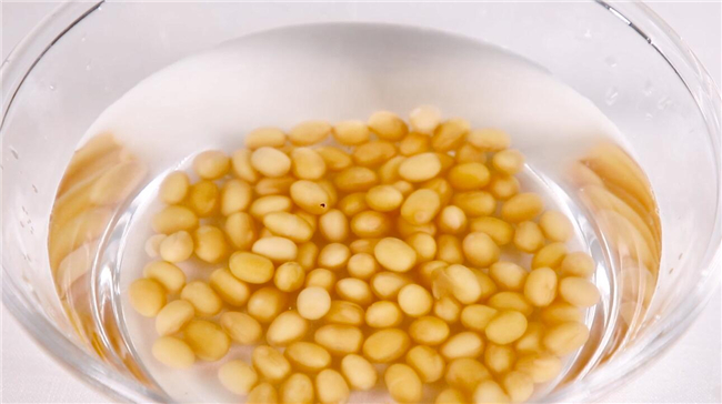 豆?jié){都能用什么豆打出來