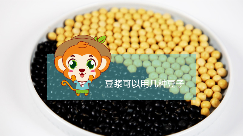 豆漿可以用幾種豆子