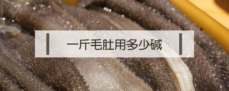一斤毛肚用多少堿