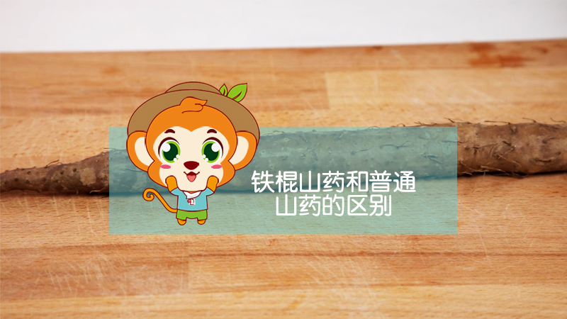 鐵棍山藥和普通山藥的區別