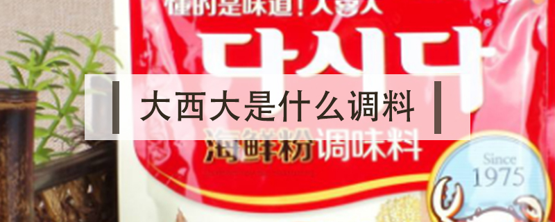 大西大是什么調料