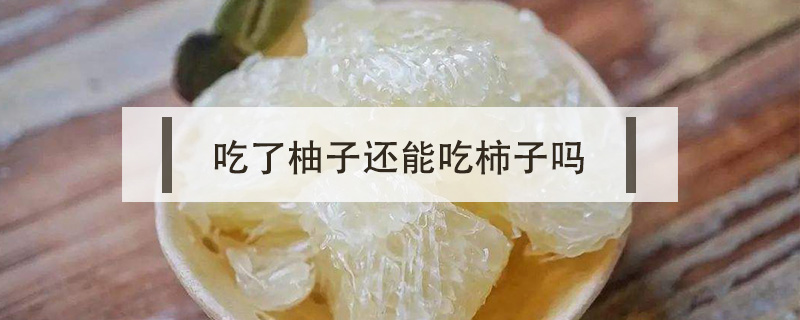 吃了柚子還能吃柿子嗎