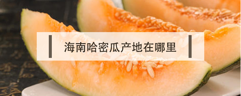海南哈密瓜產地在哪里