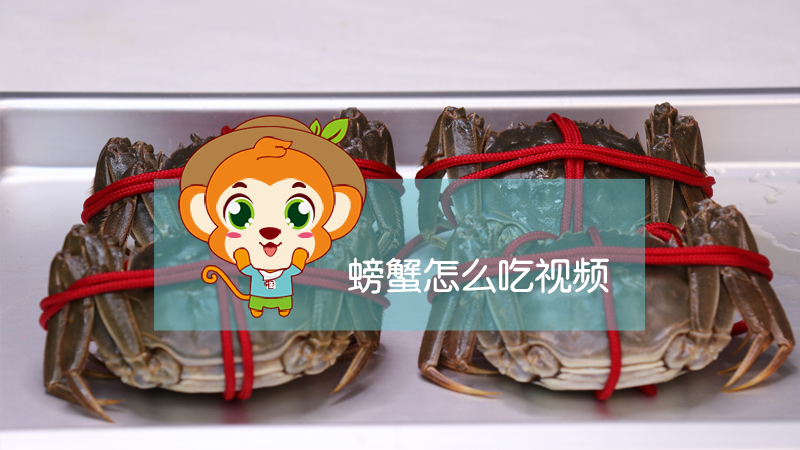 螃蟹怎么吃視頻