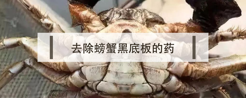 去除螃蟹黑底板的藥