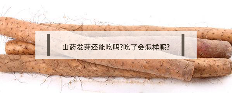 山藥發(fā)芽還能吃嗎?吃了會(huì)怎樣呢?