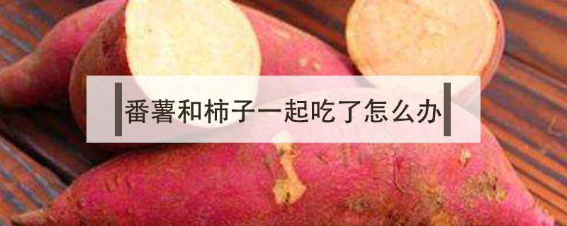 番薯和柿子一起吃了怎么辦