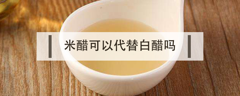米醋可以代替白醋嗎