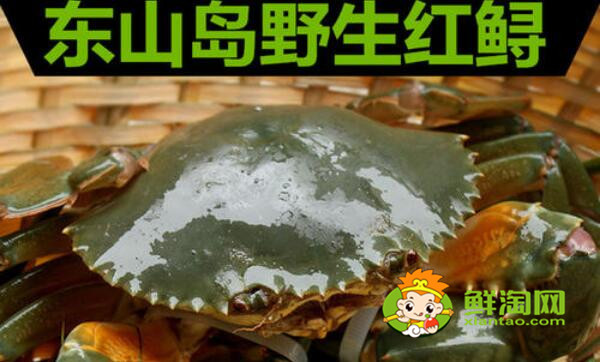 青蟹什么時候最肥美，浙江三門青蟹什么時候最肥美