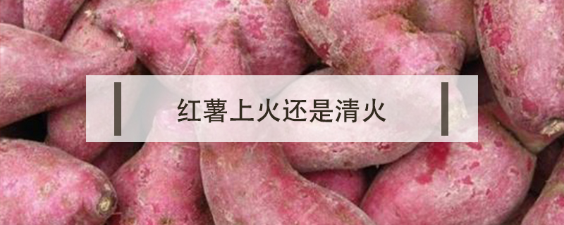 紅薯上火還是清火