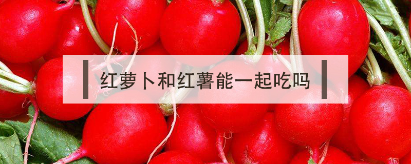 紅蘿卜和紅薯能一起吃嗎