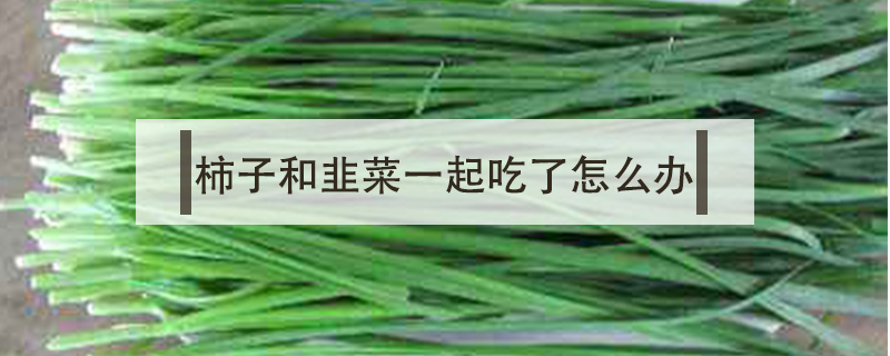 柿子和韭菜一起吃了怎么辦