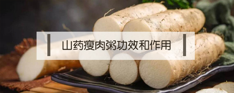 山藥瘦肉粥功效和作用