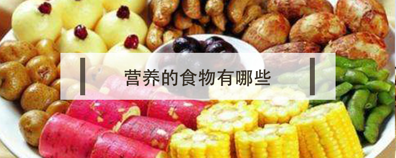 營養的食物有哪些