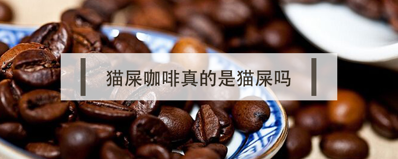 貓屎咖啡真的是貓屎嗎